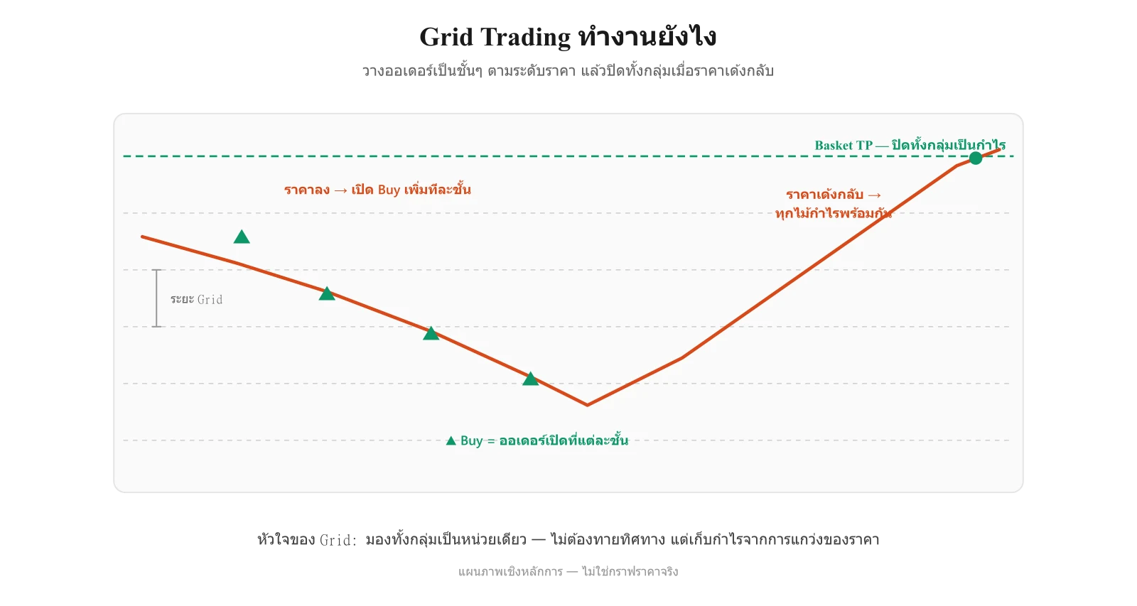 Grid Trading คืออะไร — แผนภาพแสดงการวางออเดอร์เป็นชั้นๆ ที่ระดับราคาต่างกัน แล้วปิดทั้งกลุ่มเมื่อถึง Basket TP