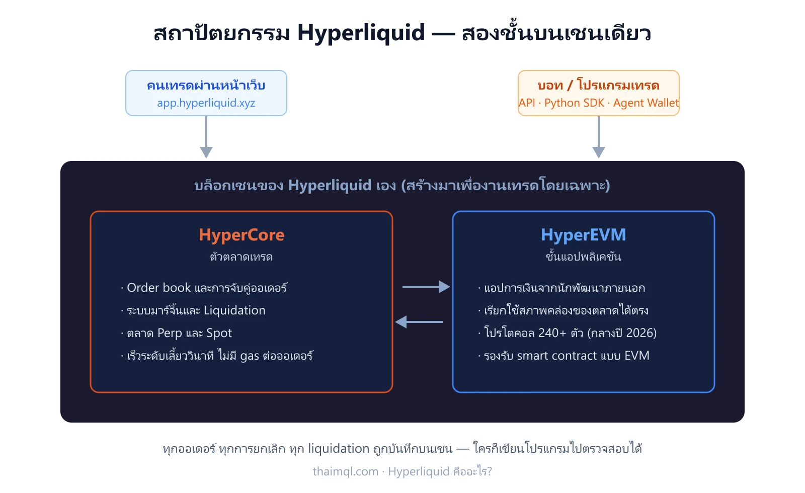 สถาปัตยกรรม Hyperliquid — HyperCore คือตัวตลาดเทรด ส่วน HyperEVM คือชั้นแอปพลิเคชันที่นักพัฒนาต่อยอดได้